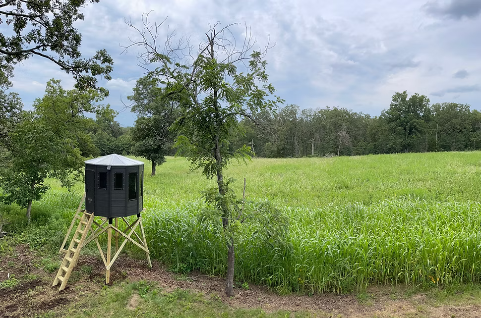 Diamond Model X3 8' Deluxe Blind